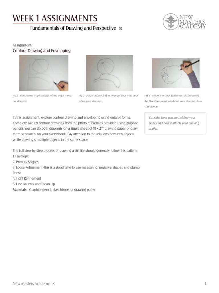Drawing Fundamentals: Contour & Enveloping | PDF | Art