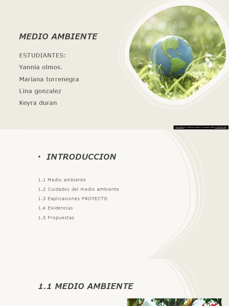 Proyecto Medio Ambiente | PDF | Entorno natural | Contaminación