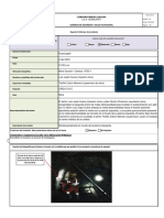 Reporte Preliminar Del Accidente