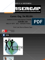 Sesion 14 Mentoring