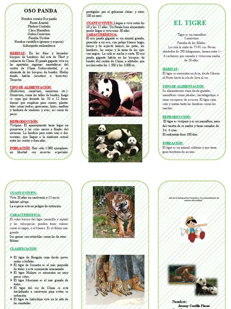 Dokumen - Tips - Triptico Oso Panda Tigre | PDF | Tigre | Panda gigante