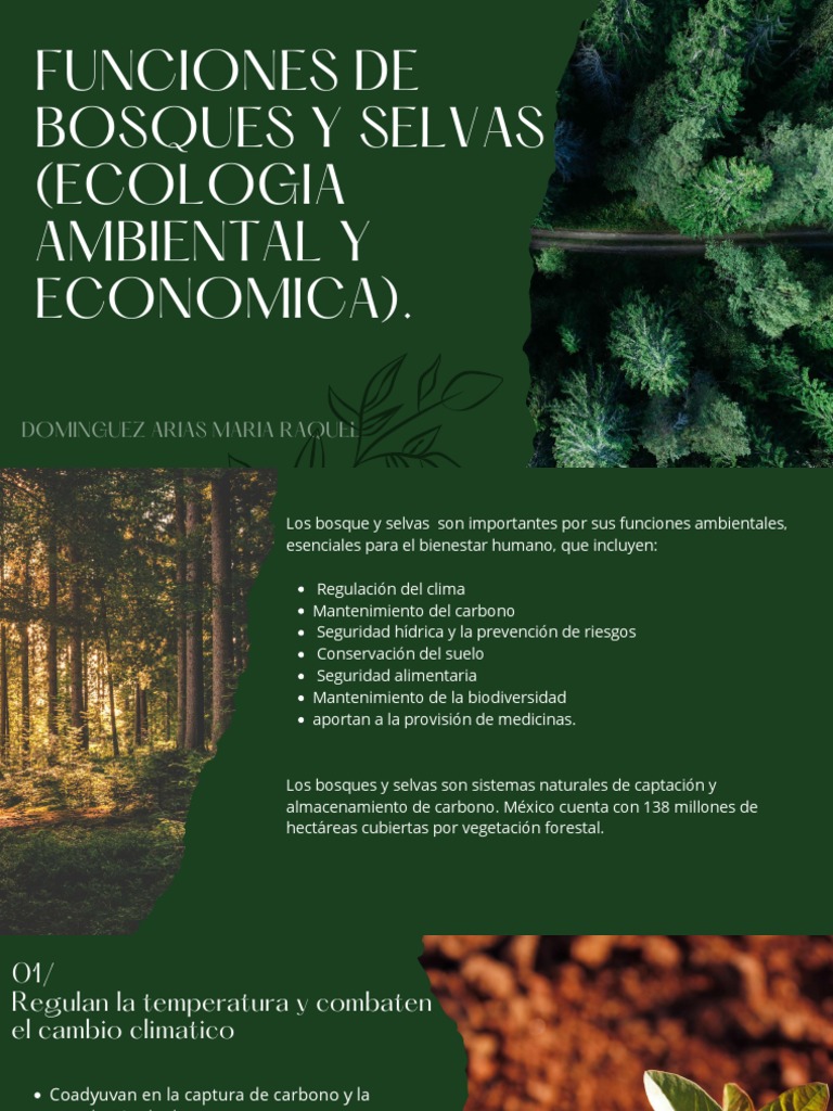 Funciones Esenciales de Bosques y Selvas | PDF | Los bosques | Entorno ...