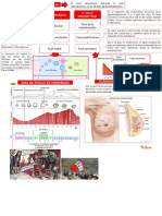 info de biologia ciclo menstrual