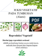 1. reproduksi-vegetatif-alami 1
