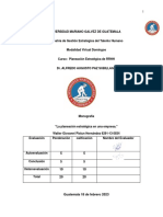 Monografia Estrategica Walter Pixtun