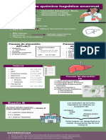 Evaluation of Abnormal Liver Chemistries