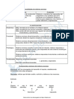 Generalidades de Sistema Nervioso