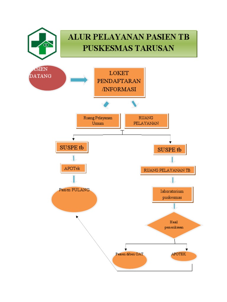Alur Pelayanan TB | PDF