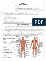 Module5 Muscular System