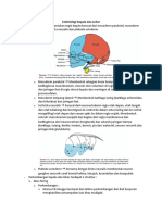 TBL - Embriologi Kepala Dan Leher