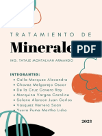 Practica I - Operaciones Introductorias en Tratamiento de Minerales