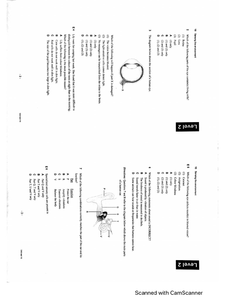 F.2 Science 1 | PDF