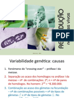 4.variabilidade Genetica