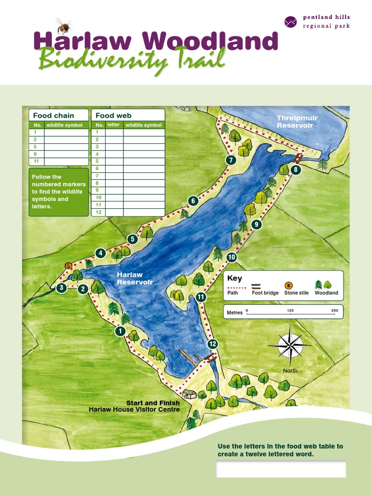 Harlaw Woodland Biodiversity Trail Guide | PDF | Food Web | Foods