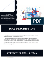 Genetik RNA Kel.2