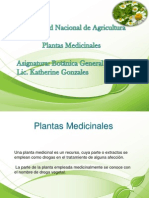 Presentacion Plantas Medicinales