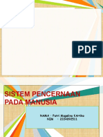 Sistem Pencernaan Manusia