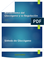 Metabolismo Del Glucogeno2023