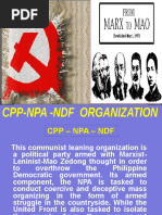 Cpp-Npa Orgn - Revised Feb 2014