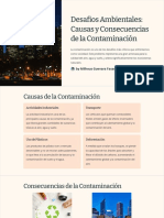 Desafios Ambientales Causas y Consecuencias de La Contaminacion