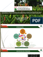 Investigación Performance para El Desarrollo de La Motricidad Gruesa