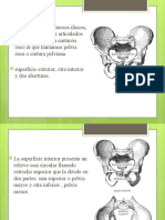 Expo Oficial