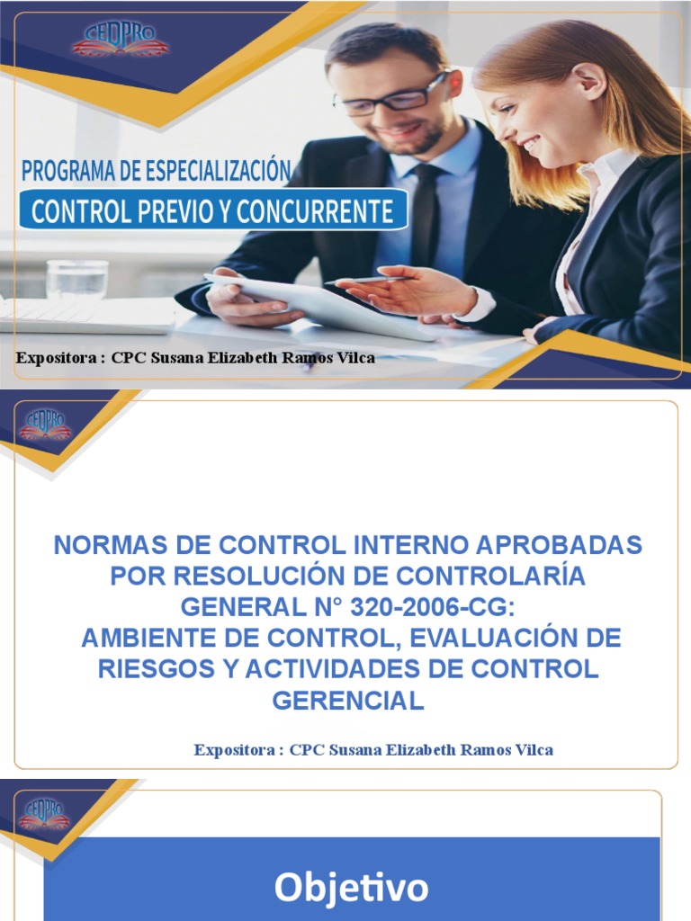 Normas de Control Interno y Riesgos | PDF | Planificación | Comportamiento