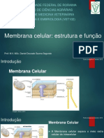 1 Membrana Celular Estrutura e Funo