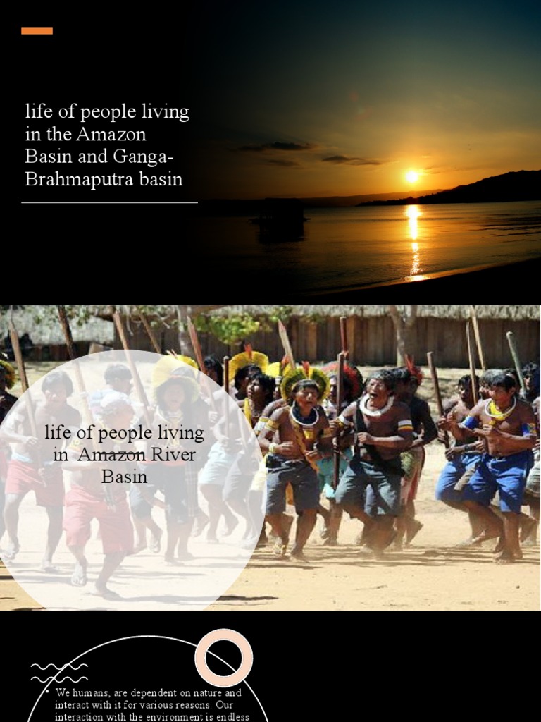 Life of People Living in The Amazon Basin | PDF | Trees | Amazon Rainforest