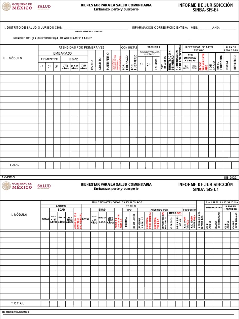 Sinba Sis E4 2023 C Pdf El Embarazo Parto