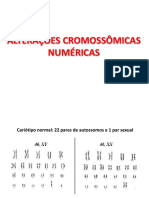 Aula 5 - Alteraçoes Cromossômicas Numéricas