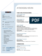 Curriculum Vitae Kevin Aydogdu 2021