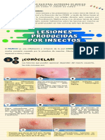 Lesiones Producidas Por Insectos