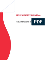 Beneficiamento Mineral Unidade IV