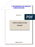 01 Puente - Agricola Don Ricardo