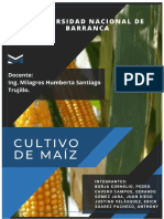 Cultivo de Maiz en El Peru y El Mundo - Introduccion A La Agranomia