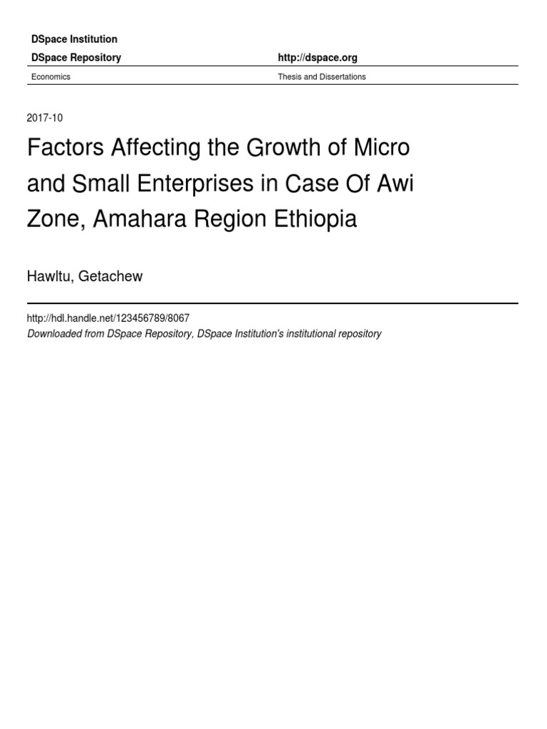 B Dar 2017 Factors Affecting The Growth of Micro - and Small ...