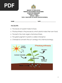 Grade 5 Science Weeks 9-12 Worksheets - Term 1