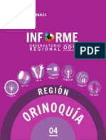 Informe Región Orinoquia