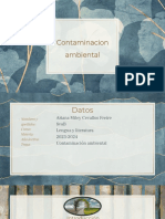 Diapositivas Contaminacion Ambiental