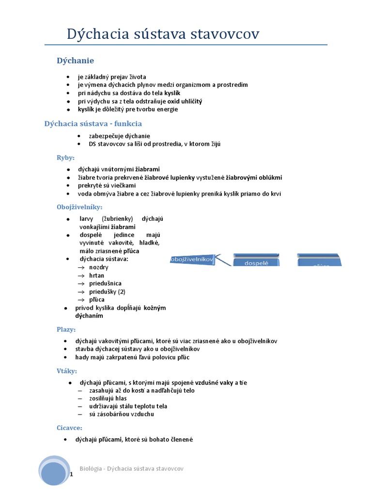 Dýchacia Sústava Stavovcov | PDF
