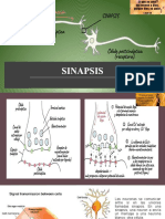 Clase 3 de Neuro M