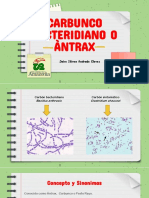 Carbon Bacteridiano