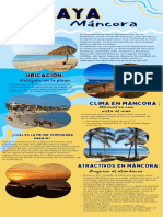 Infografía Tour Playa Con Fotos Azul Amarillo