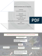 Mapa Conceptual de Los Principales Contaminantes en La Vida Del Palneta