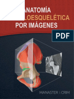 DEMO Anatomía Musculoesquelética Por Imágenes