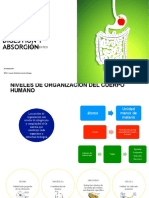 Documento PDF 7e9a9e54dc46 1