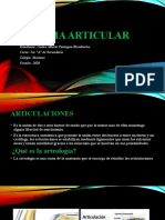 Sistema Articular