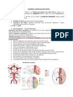 Accidente Cerebrovascular (ACV)