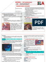 R3-Of15-Traumatismos Oculares